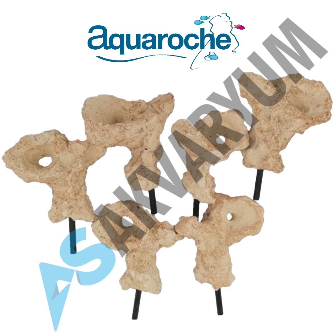 619771 Acroporock Coral Plug