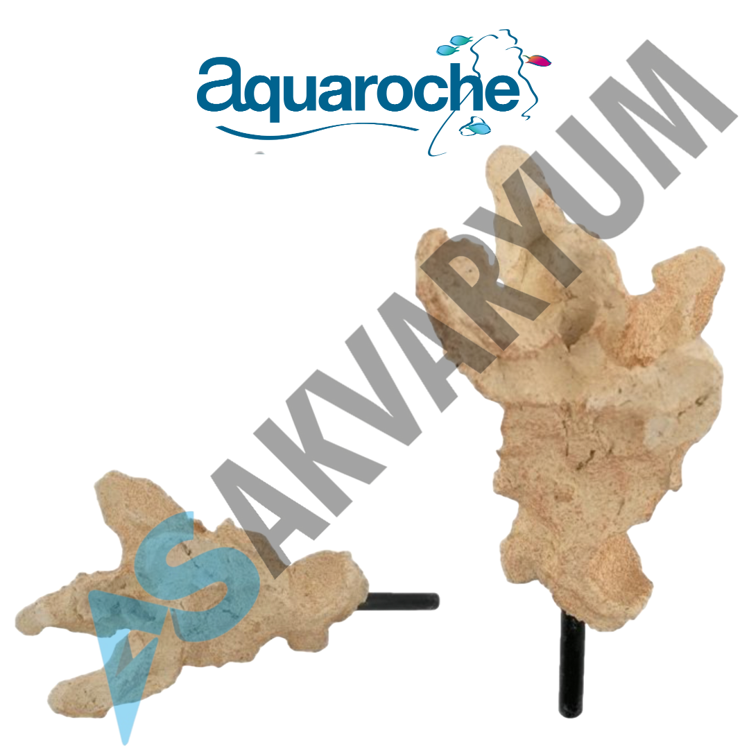 619781 Acroporock XL branch tip