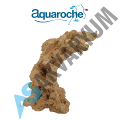 152038 Anemone arche