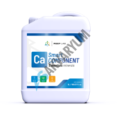 Smart Component 3X5 Litre