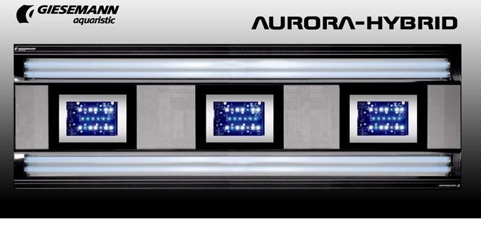 Giesemann - AURORA - 4 x 75 W LED / 4 x 80 W T5