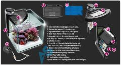 NEWA - More 30 Reef