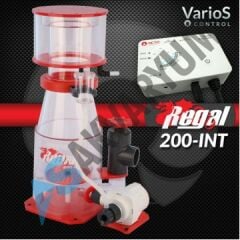 Reef Octopus - Regal INT Serisi
