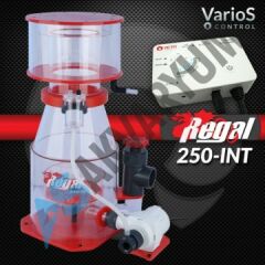 Reef Octopus - Regal INT Serisi
