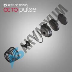 Reef Octopus - OP Serisi