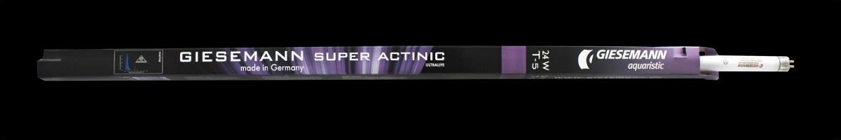 Giesemann - Powerchrome - 39 W Super Actinic T5