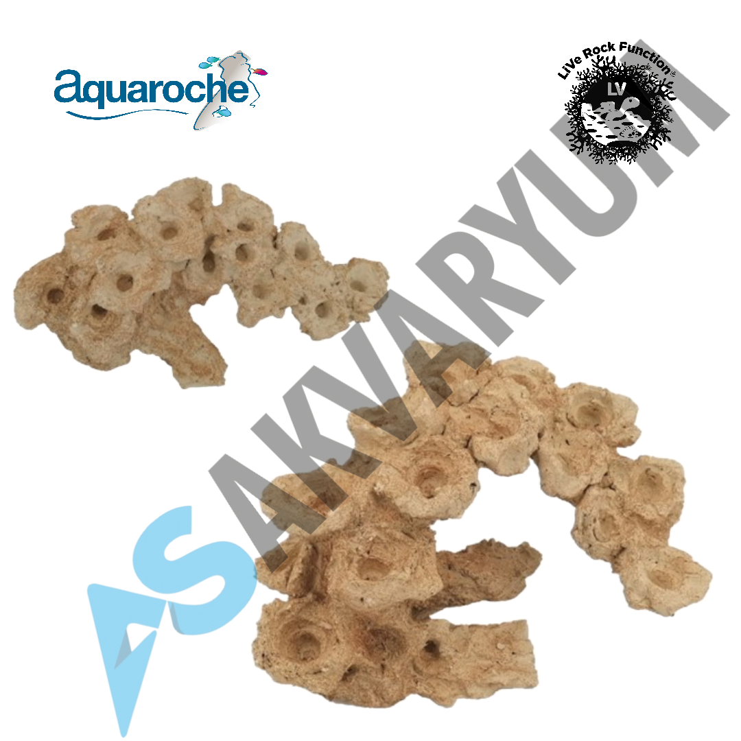Aquaroche - 540005 Zoe Garden Rock Arch