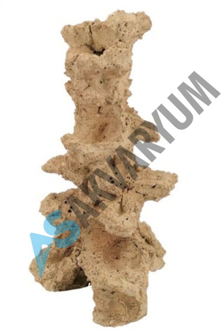 Aquaroche - 500838 Straight Pilar 38h Cm