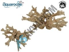 Aquaroche - 699721 Acropora kit 21 pieces branch tipped