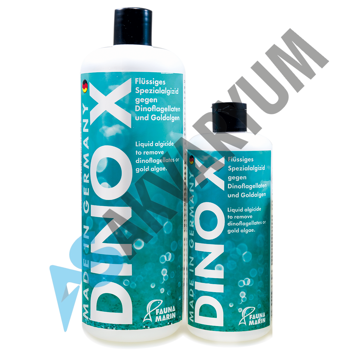 FAUNA MARIN DINO X