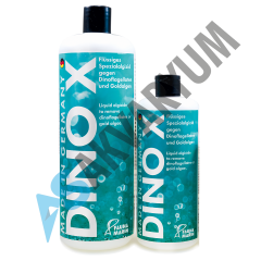 FAUNA MARIN DINO X