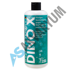FAUNA MARIN DINO X