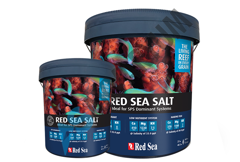 Red Sea Salt - 22 KG