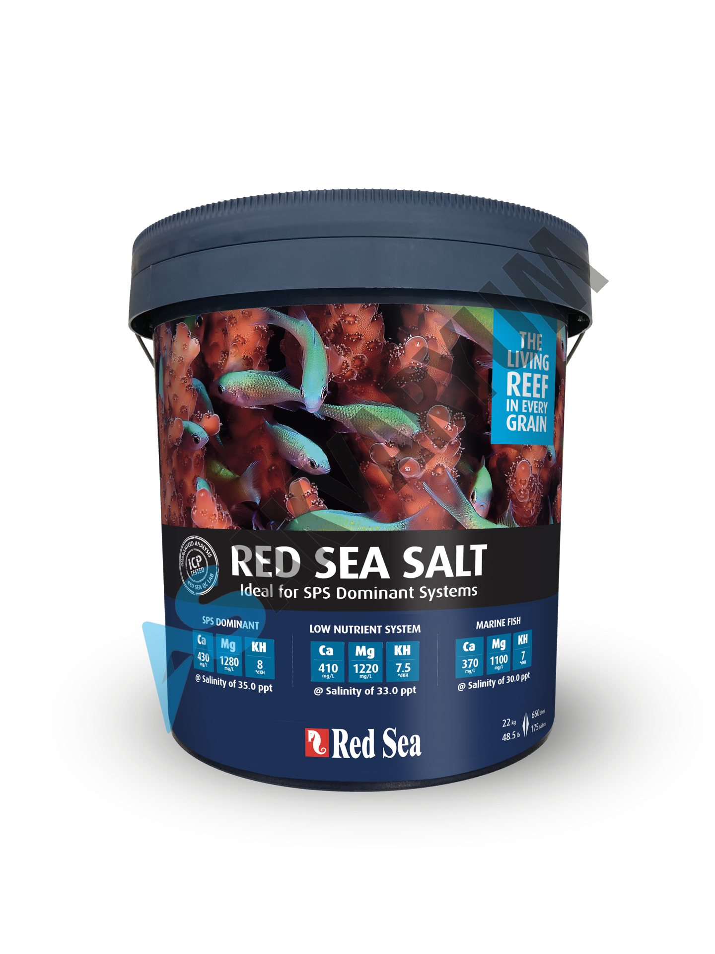 Red Sea Salt 22 KG