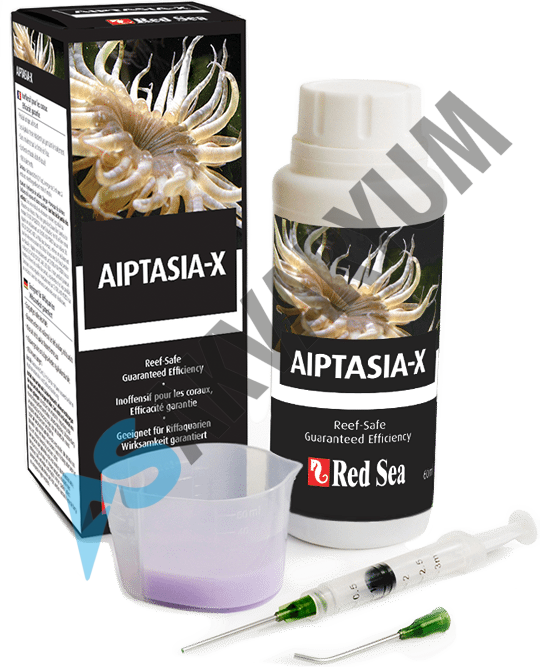 Red Sea Aiptasia-X 60ml