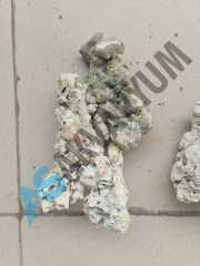 Fiji Plate ve Branch Kayalar