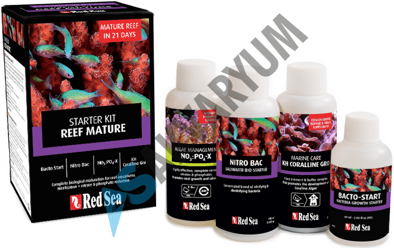 Red Sea Reef Olgunlaştırma Kiti