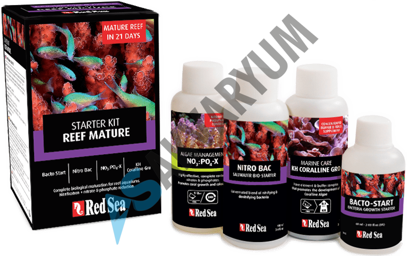 Red Sea Reef Olgunlaştırma Kiti