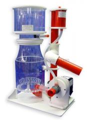 Royal Exclusiv - Bubble King - Deluxe 200 Internal