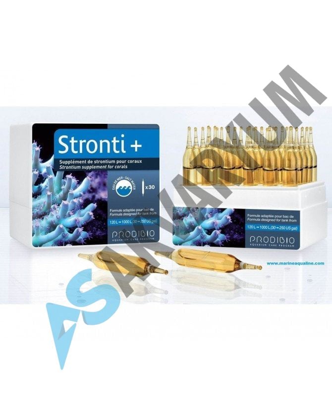 Prodibio - Stronti+ 30 pcs