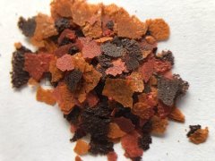 Ocean Nutrition - Brine Shrimp Plus Flakes 34 gr