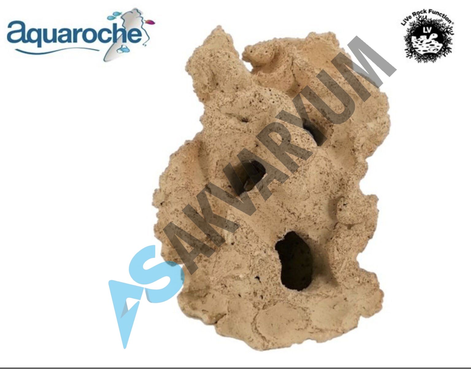 503981 Jawfish home H 18 cm