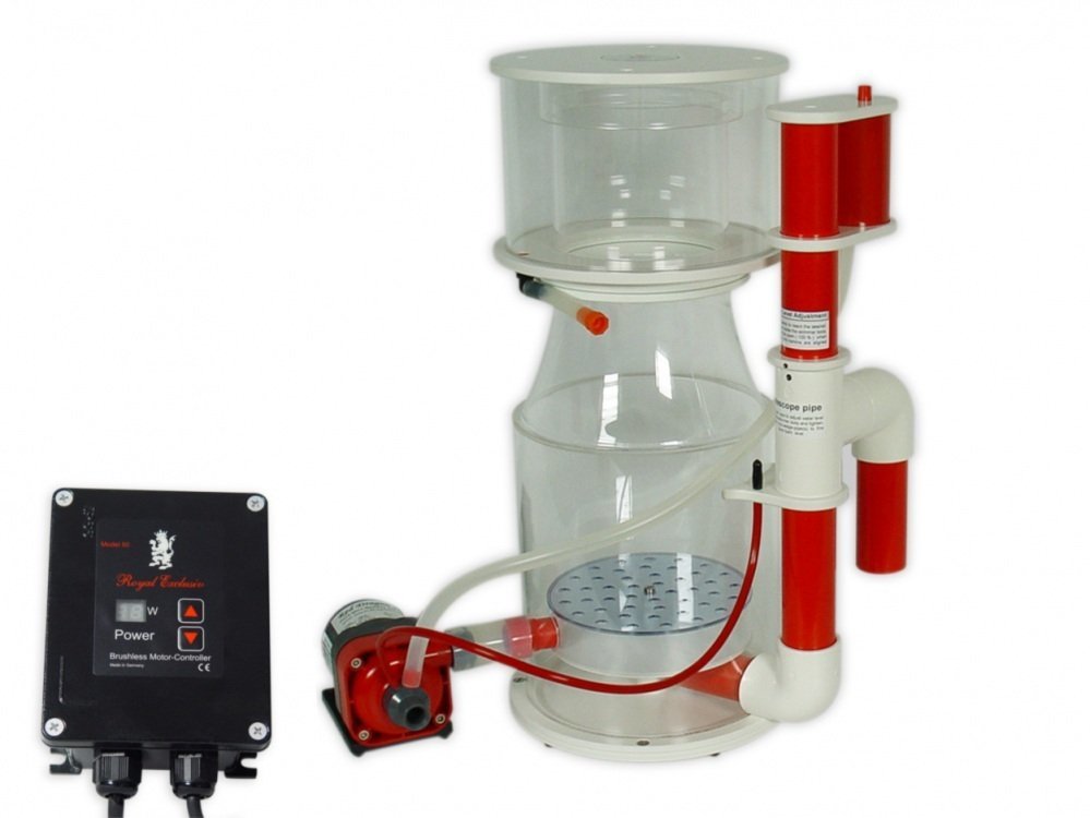Royal Exclusiv - Bubble King - Deluxe 250 Internal RD3