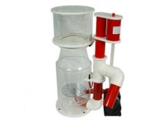 Royal Exclusiv - Bubble King - Deluxe 200 Internal RD3