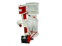 Royal Exclusiv - Bubble King - Deluxe 200 Internal RD3