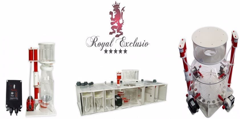 Royal Exclusiv